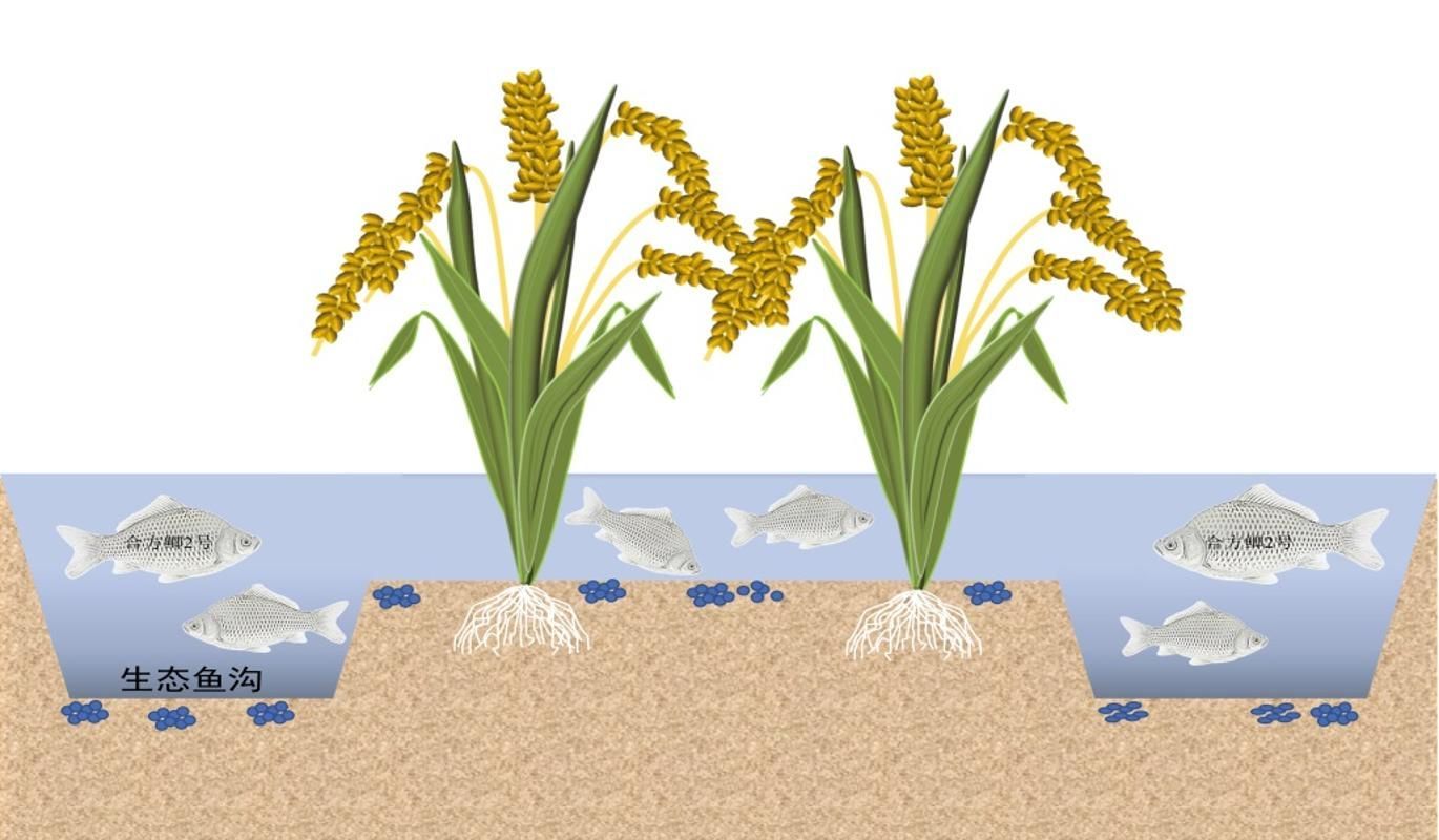 WilliamHill(威廉希尔)官网