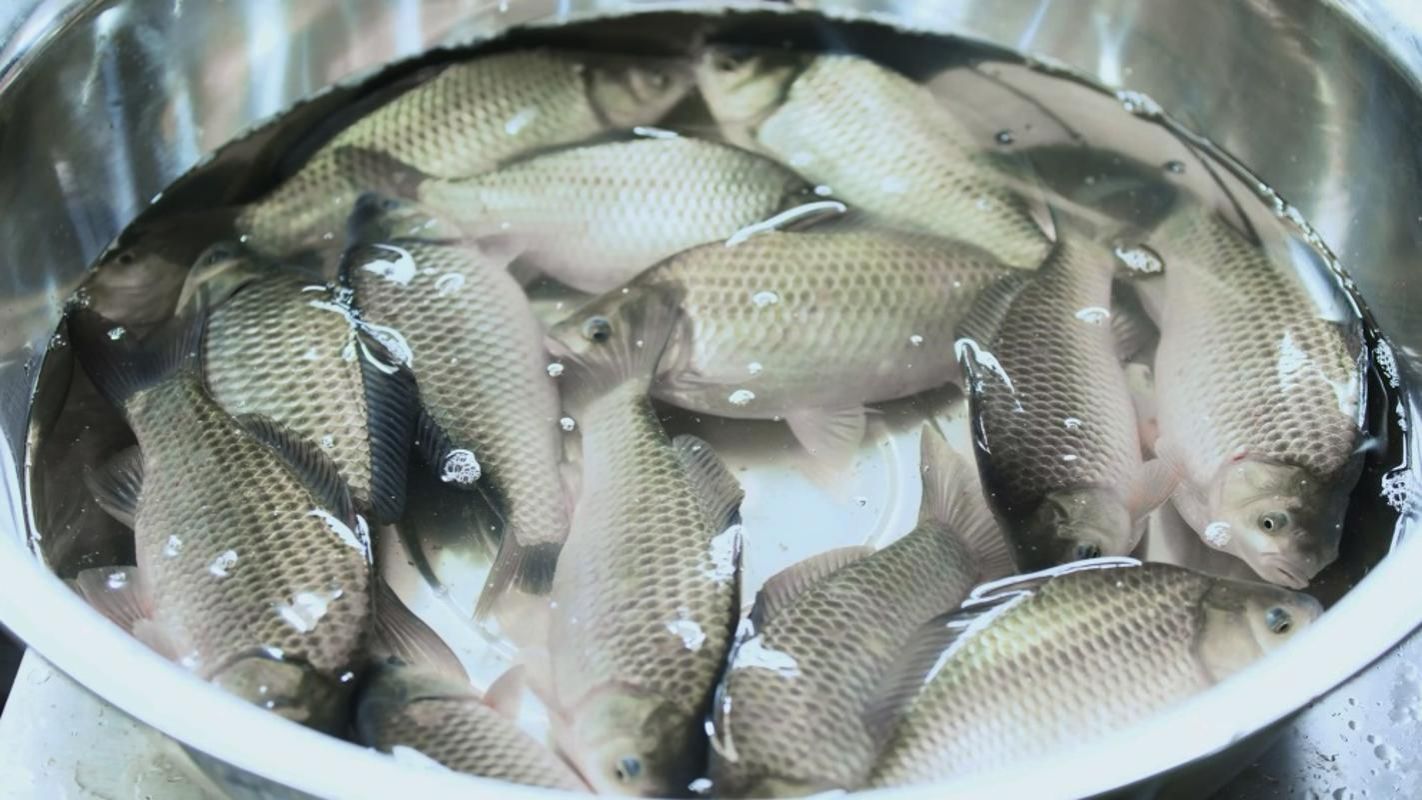 WilliamHill(威廉希尔)官网