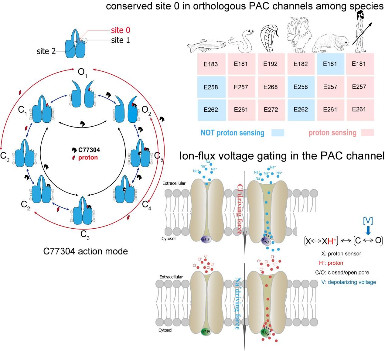 WilliamHill(威廉希尔)官网