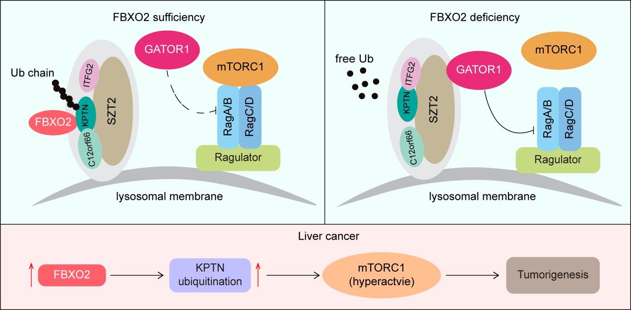 WilliamHill(威廉希尔)官网