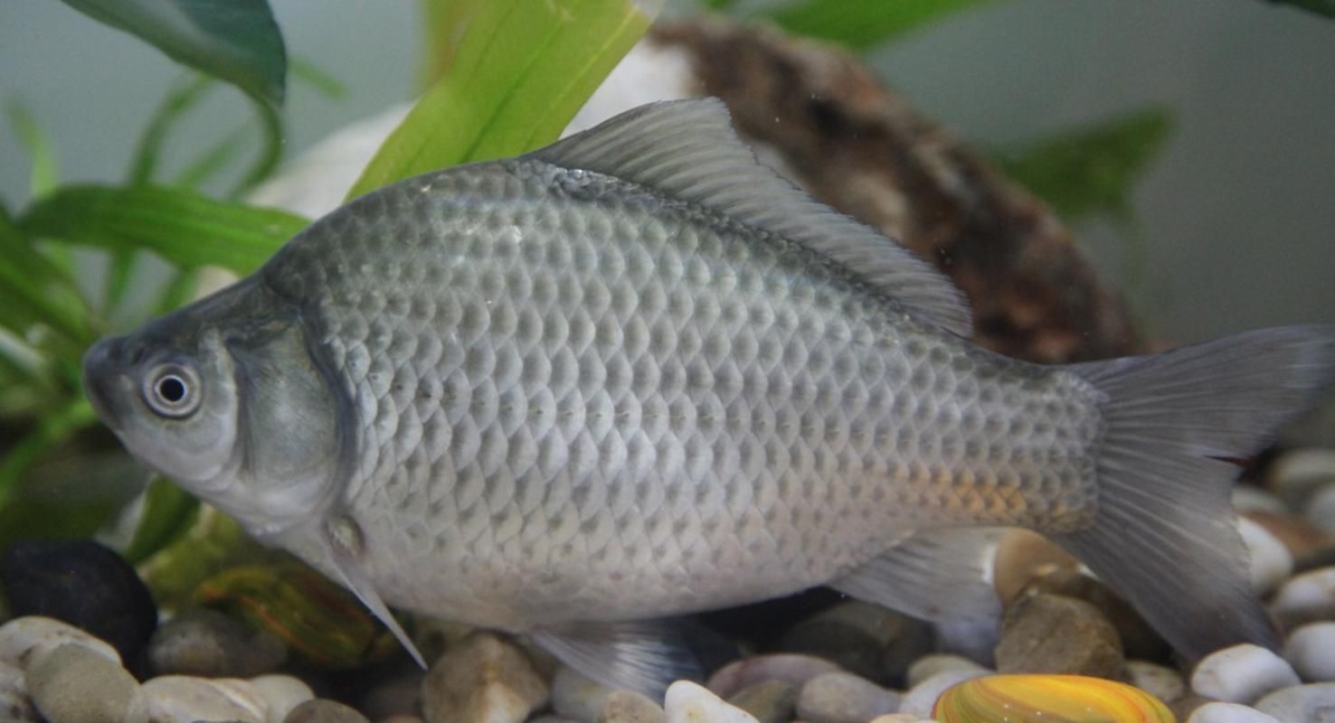 WilliamHill(威廉希尔)官网